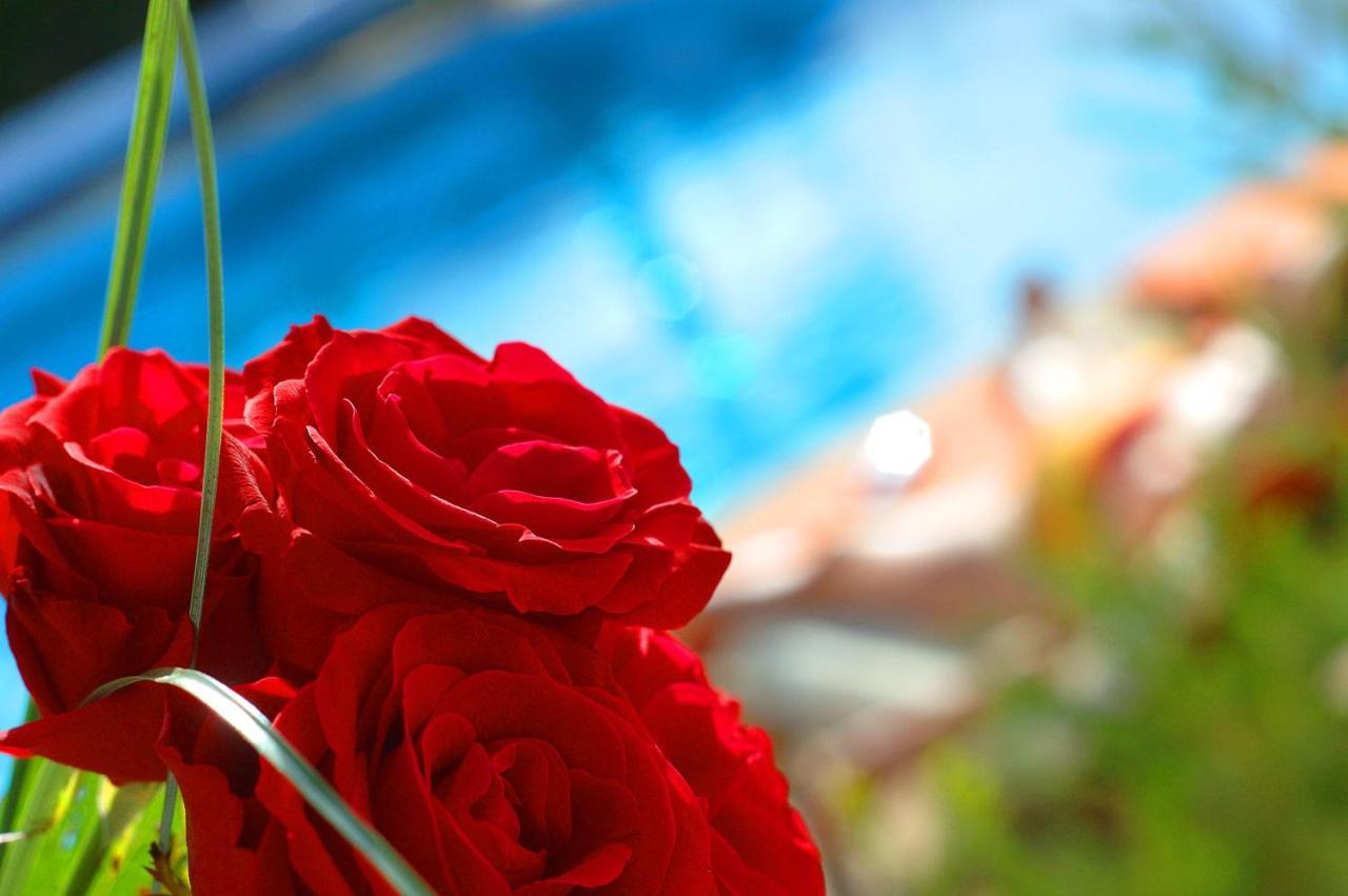 Casa Bela Moura, Boutique Hotel & Wine Поршеш Екстериор снимка