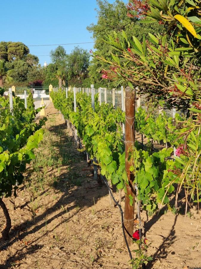 Casa Bela Moura, Boutique Hotel & Wine Поршеш Екстериор снимка